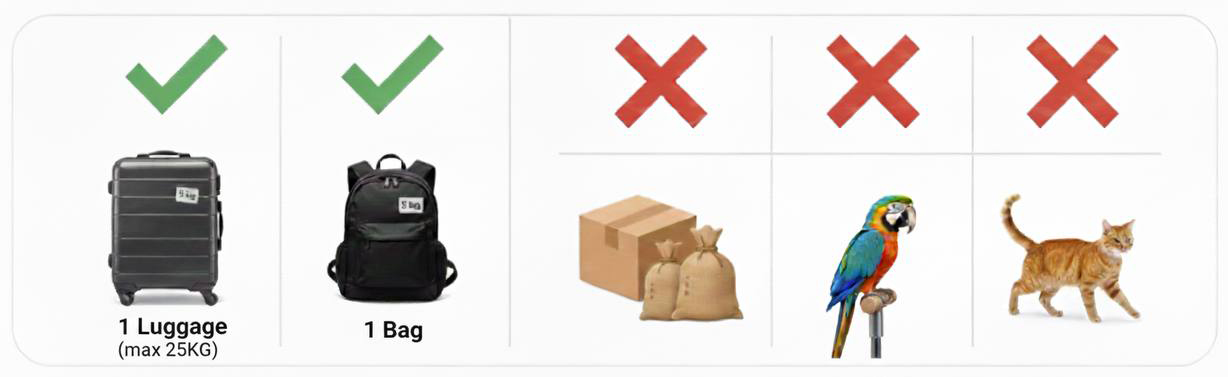 Luggage Policy